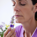 Is it OK to inhale essential oils?