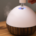 Do you mix water with essential oils in a diffuser?